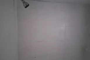 4811 S Elizabeth St, Chicago, IL 60609 - Photo 14