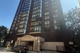 21 W Goethe St, Chicago, IL 60610 - Photo 1