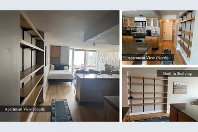 21 W Goethe Street #17H, Chicago, IL 60610 - Photo 4