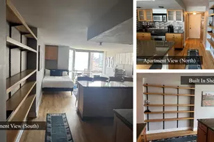 21 W Goethe St, Chicago, IL 60610 - Photo 4