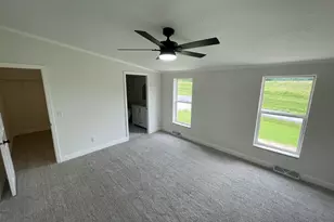 290 Friendship Loop, Orangeville, IL 62939 - Photo 14