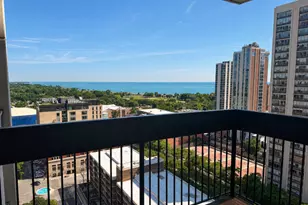 1460 N Sandburg Terrace, Chicago, IL 60610 - Photo 28