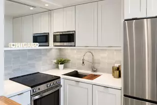 1460 N Sandburg Terrace, Chicago, IL 60610 - Photo 16