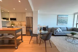 1460 N Sandburg Terrace, Chicago, IL 60610 - Photo 12