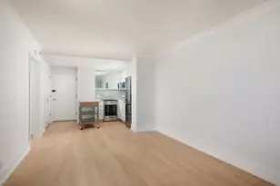 1460 N Sandburg Terrace, Chicago, IL 60610 - Photo 16