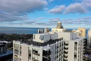 1460 N Sandburg Terrace, Chicago, IL 60610 - Photo 2
