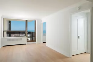 1460 N Sandburg Terrace, Chicago, IL 60610 - Photo 10