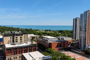 1460 N Sandburg Terrace, Chicago, IL 60610 - Photo 30