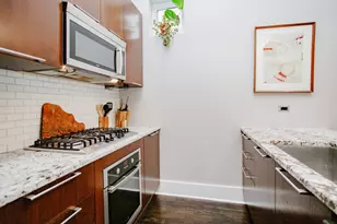 1735 W Erie St, Chicago, IL 60622 - Photo 10