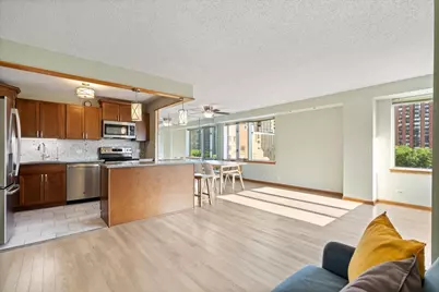 801 S Plymouth Court #620, Chicago, IL 60605 - Photo 4
