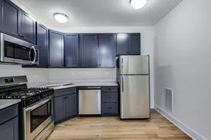 815 S Carpenter St, Chicago, IL 60607 - Photo 4