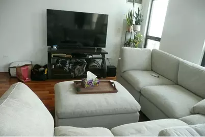 1255 S State Street #1717, Chicago, IL 60605 - Photo 10