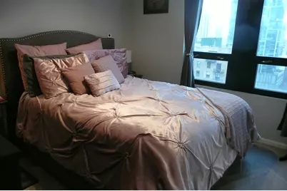 1255 S State Street #1717, Chicago, IL 60605 - Photo 14