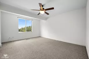 298 Sunset Trail, New Lenox, IL 60451 - Photo 10