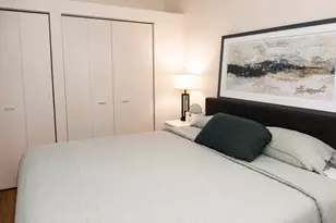 1524 S Sangamon St, Chicago, IL 60608 - Photo 10