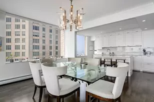 1000 N Lake Shore Plaza, Chicago, IL 60611 - Photo 12