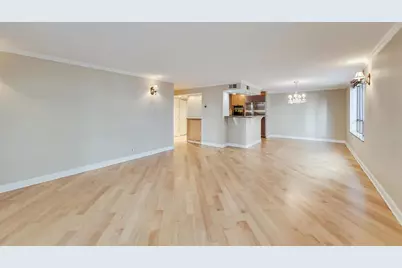 201 E Chestnut Street #3A, Chicago, IL 60611 - Photo 32