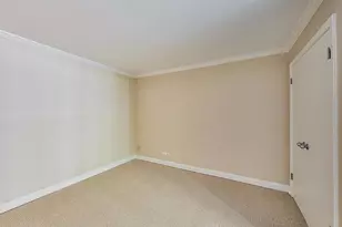 201 E Chestnut St, Chicago, IL 60611 - Photo 38