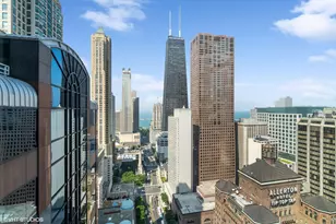 118 E Erie St, Chicago, IL 60611 - Photo 44