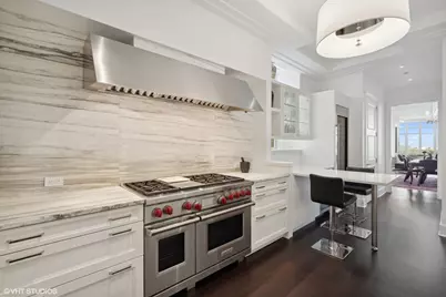 118 E Erie Street #37H, Chicago, IL 60611 - Photo 22