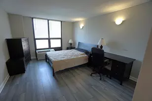 901 S Plymouth Ct, Chicago, IL 60605 - Photo 16