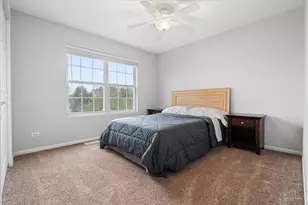771 Red Barn Ln, Elgin, IL 60124 - Photo 20
