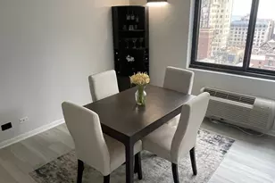 1221 N Dearborn St, Chicago, IL 60610 - Photo 6