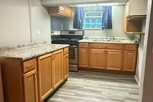 8347 S Peoria Ave, Chicago, IL 60620 - Photo 10