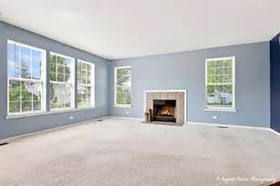 429 W Newbridge Ln, Round Lake, IL 60073 - Photo 16