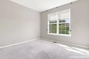429 W Newbridge Ln, Round Lake, IL 60073 - Photo 22