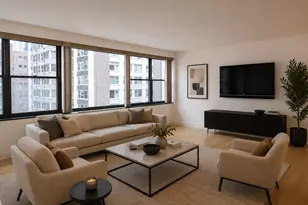 850 N Dewitt Pl, Chicago, IL 60611 - Photo 10