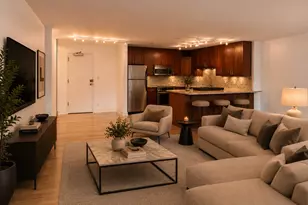 850 N Dewitt Pl, Chicago, IL 60611 - Photo 6