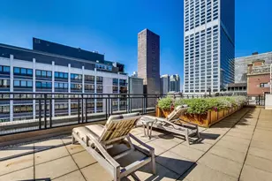 850 N Dewitt Pl, Chicago, IL 60611 - Photo 20