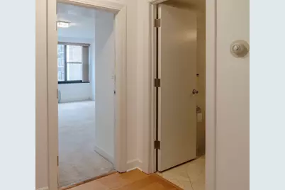 850 N Dewitt Place #10G, Chicago, IL 60611 - Photo 12