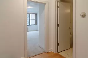 850 N Dewitt Pl, Chicago, IL 60611 - Photo 12