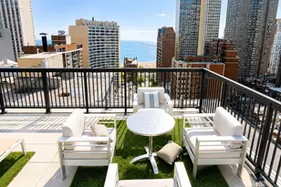 30 E Elm St, Chicago, IL 60611 - Photo 14