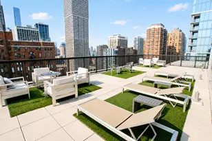 30 E Elm St, Chicago, IL 60611 - Photo 12
