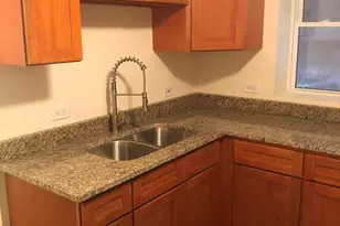 3154 S May St, Chicago, IL 60608 - Photo 4
