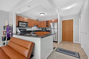 211 E Ohio St, Chicago, IL 60611 - Photo 6