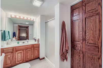 13N441 Coombs Road, Elgin, IL 60124 - Photo 32