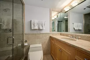 950 N Michigan Ave, Chicago, IL 60611 - Photo 18