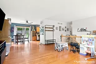 25194 W Buena Ave, Lake Villa, IL 60046 - Photo 20