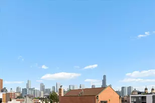 865 N Marshfield Ave, Chicago, IL 60622 - Photo 24