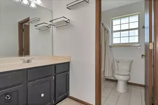 20532 Timber Mill Dr, Frankfort, IL 60423 - Photo 16