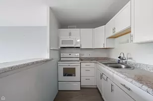 1401 E 55th St, Chicago, IL 60615 - Photo 8