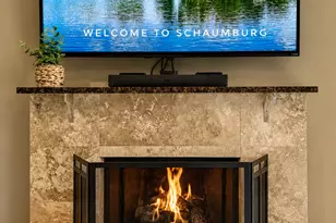 103 Marble Hill Ct, Schaumburg, IL 60193 - Photo 8