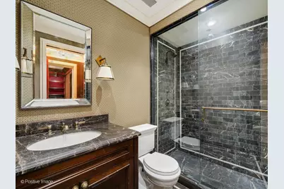 159 E Walton Place #7D, Chicago, IL 60611 - Photo 18