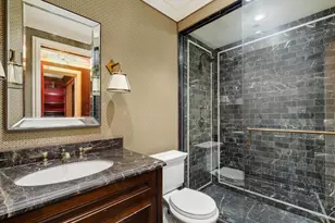 159 E Walton Pl, Chicago, IL 60611 - Photo 18