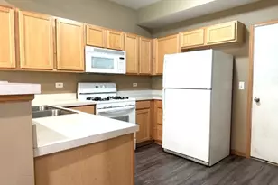 10553 Haverhill Ln, Huntley, IL 60142 - Photo 6