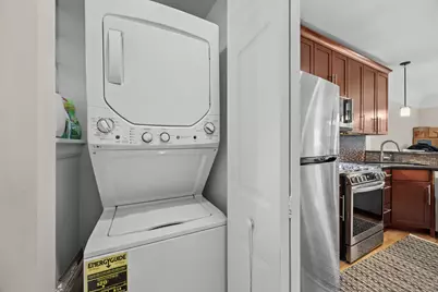 344 S Maple Avenue #2B, Oak Park, IL 60302 - Photo 20